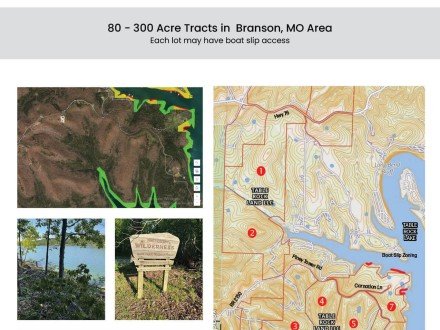 Lot 7 Carnation, Cape Fair, MO 65624