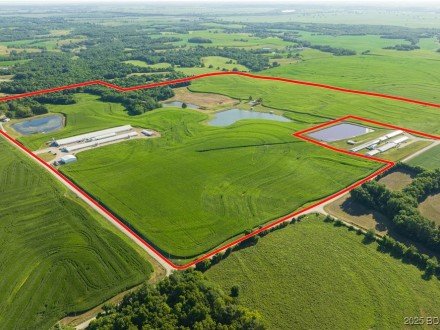 27248 Pumpkin, Out Of Area (BDAR), MO 65330