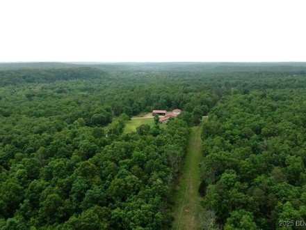 689 Hoot Owl, Other, MO 63943