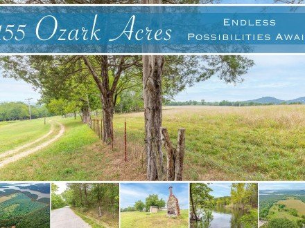1092 Quiet Acres, Lampe, MO 65681