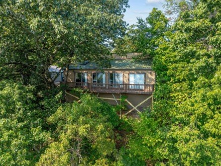 262 Grand Slam, Cape Fair, MO 65624