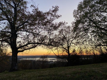 Tbd Emerald Crest -47 Acres, Hollister, MO 65672