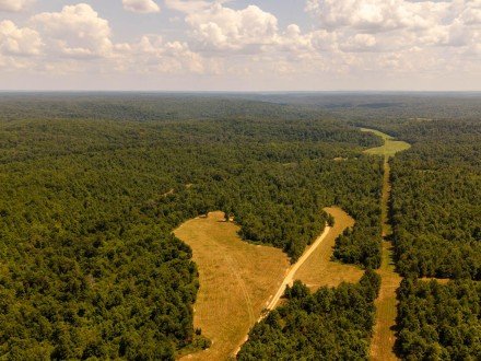 Tbd County Road 443, Birch Tree, MO 65438