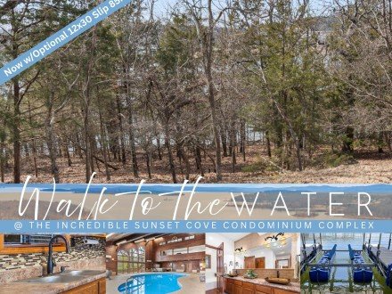 310 Sunset Cove, Branson, MO 65616