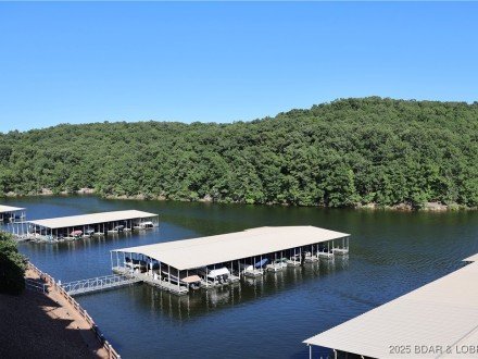 611 Lazy Days, Osage Beach, MO 65065