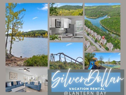 12 Woodpecker, Indian Point, MO 65616