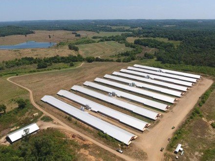 12213 Highway 93, Pocahontas, AR 72455