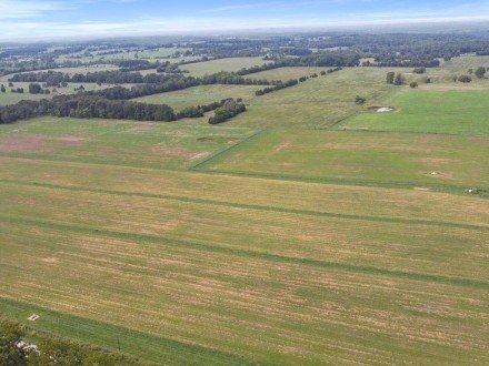 000 State Highway Ff, Caulfield, MO 65626