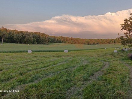 5543 County Road 9720, West Plains, MO 65775