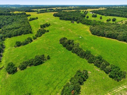 000 Gravel Point, Mountain Grove, MO 65711