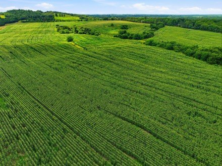 000 Gravel Point, Mountain Grove, MO 65711