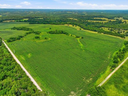000 Gravel Point, Mountain Grove, MO 65711
