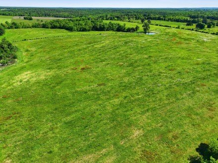 9290 Burton Branch, Bucyrus, MO 65444
