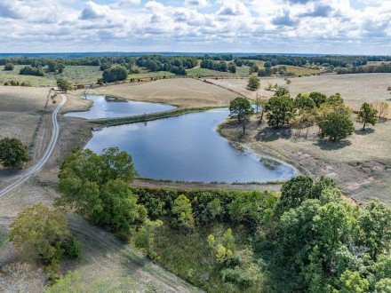 10455 N Highway Dd, Niangua, MO 65713