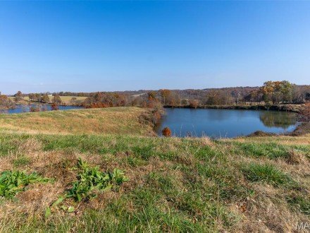 000 County Highway 217