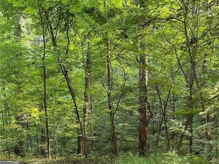 Lot 5 & 6 Commanche Drive