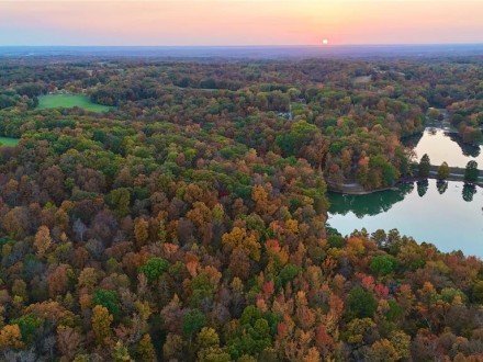 236 Cypress Lake Road